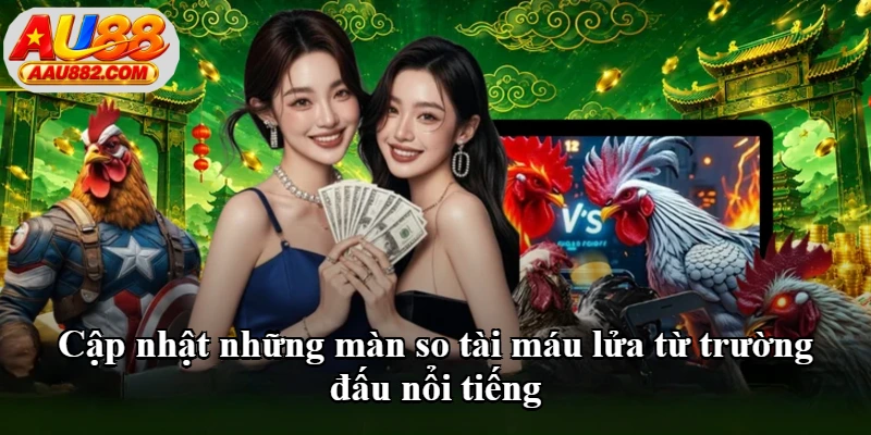 Cập nhật những màn so tài máu lửa từ trường đấu nổi tiếng Cập nhật những màn so tài máu lửa từ trường đấu nổi tiếng