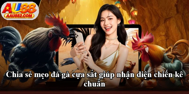 Chia sẻ mẹo đá gà cựa sắt giúp nhận diện chiến kê chuẩn Chia sẻ mẹo đá gà cựa sắt giúp nhận diện chiến kê chuẩn