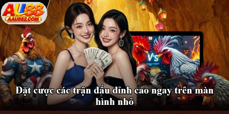 Đặt cược các trận đấu đỉnh cao ngay trên màn hình nhỏ Đặt cược các trận đấu đỉnh cao ngay trên màn hình nhỏ