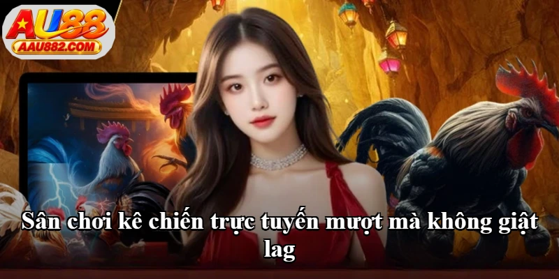 Sân chơi kê chiến trực tuyến mượt mà không giật lag Sân chơi kê chiến trực tuyến mượt mà không giật lag