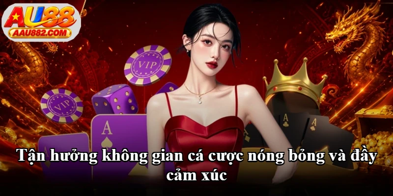 Tận hưởng không gian cá cược nóng bỏng và đầy cảm xúc Tận hưởng không gian cá cược nóng bỏng và đầy cảm xúc