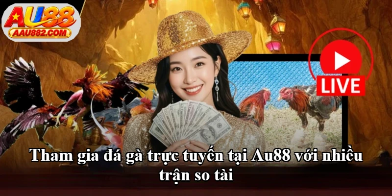 Tham gia đá gà trực tuyến tại Au88 với nhiều trận so tài Tham gia đá gà trực tuyến tại Au88 với nhiều trận so tài