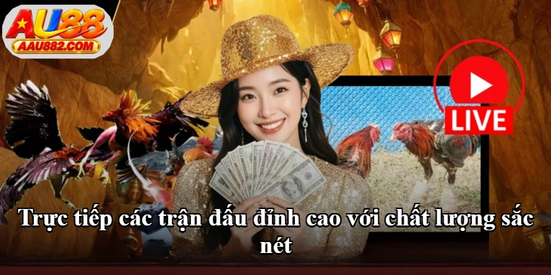Trực tiếp các trận đấu đỉnh cao với chất lượng sắc nét Trực tiếp các trận đấu đỉnh cao với chất lượng sắc nét